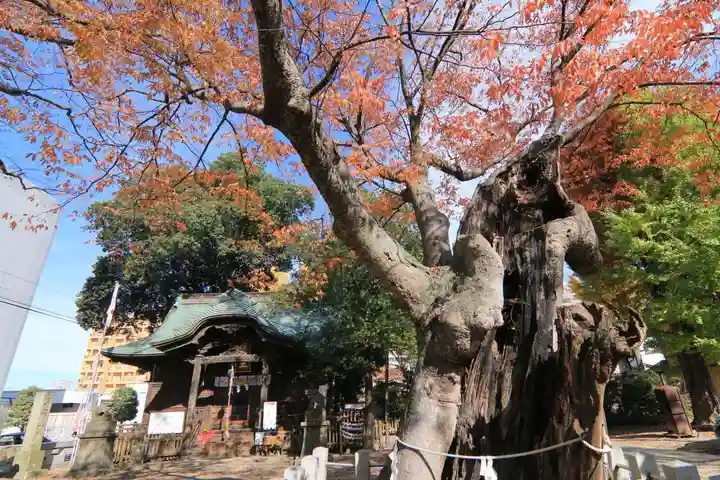 阿邪訶根神社の本殿・本堂