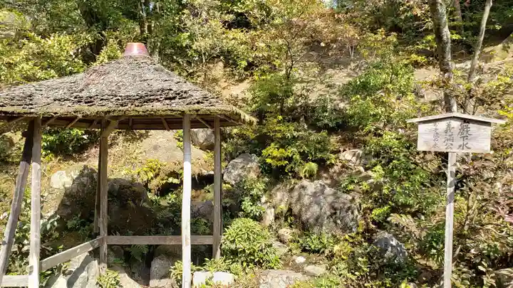 鹿苑寺(金閣寺)の庭園