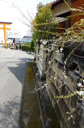 石鎚神社 口之宮 本社の自然
