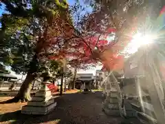 日吉神社(滋賀県)