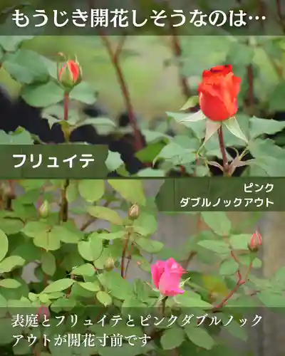 宝光寺(北海道)