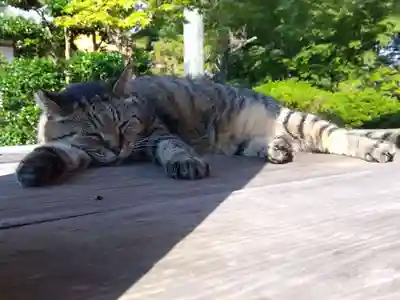 久米寺(奈良県)