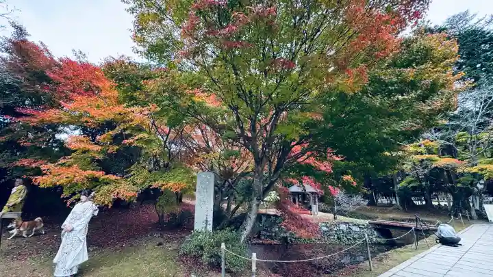丹生都比売神社(和歌山県)