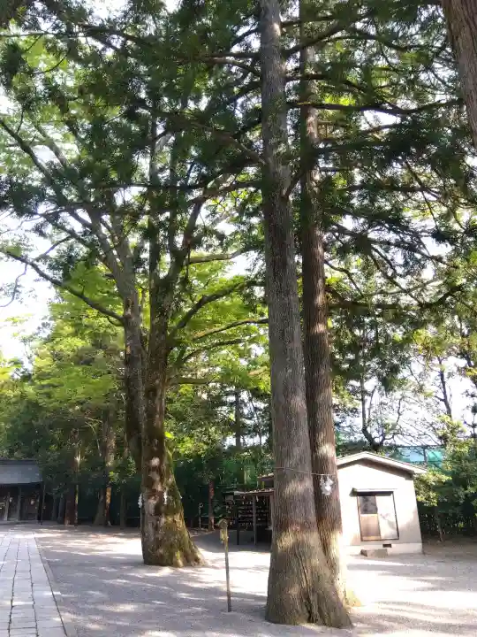 雄山神社前立社壇の{uncategorized: "未分類", other: "その他", undefined: "問題あり", building: "その他建物", grave: "お墓", sacred_gate: "鳥居", guardian: "狛犬", statue: "像", buddha: "仏像", history: "歴史", nature: "自然", garden: "庭園", animal: "動物", pagoda: "塔", temizu: "手水舎", mountain_gate: "山門・神門", sanctuary: "本殿・本堂", subordinate: "末社・摂社", art: "芸術", scenery: "景色", jizo: "地蔵", ema: "絵馬", goshuin: "御朱印", omikuji: "おみくじ", items: "授与品その他", amulet: "お守り", goshuincho: "御朱印帳", eats: "食事", festival: "お祭り", votive_dance: "神楽", shichigosan: "七五三参", wedding: "結婚式", experience: "体験その他", initially: "初詣", around: "周辺", anti_infection: "感染症対策"}