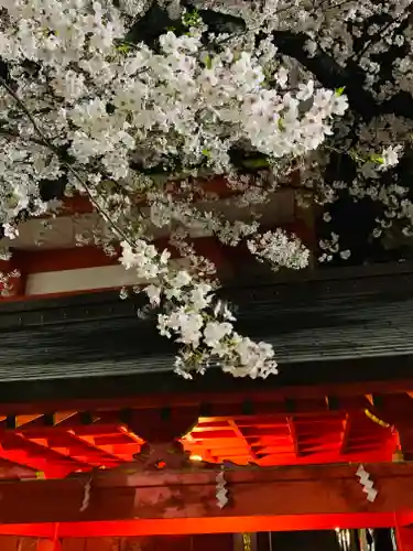 花園神社の自然