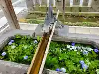 今泉八坂神社の御朱印