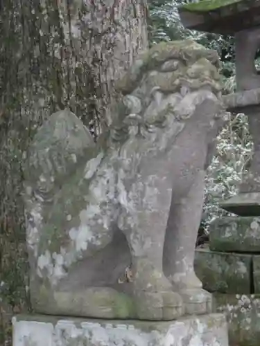 倉吉八幡宮の狛犬