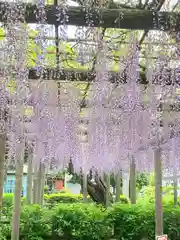 日吉神社(東京都)