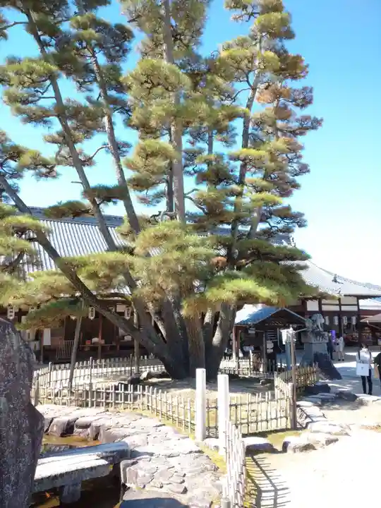 大願寺のその他建物