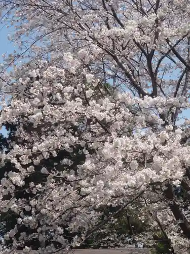 宇都母知神社(神奈川県)
