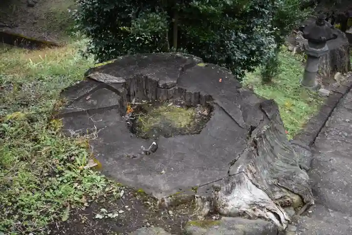 妙義神社のその他建物