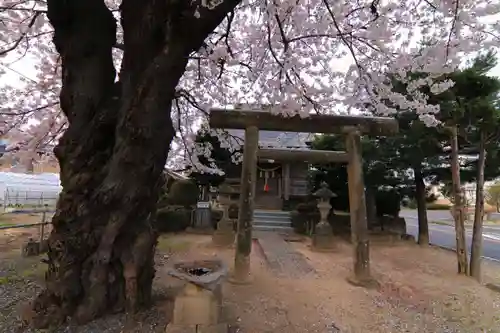 中野稲荷神社の鳥居