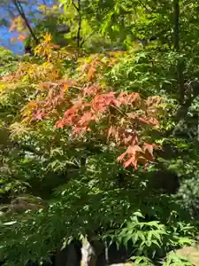 木舟山 順教寺(広島県)(2021年09月30日(木) 10時11分08秒投稿)