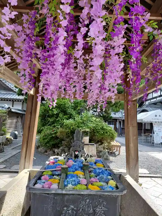 柳谷観音 楊谷寺(京都府)