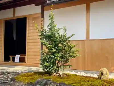 龍泉庵のその他建物