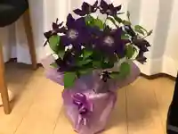 法岩院の自然