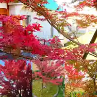 寿量山 速成寺の自然