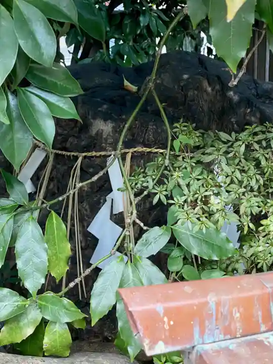 元祇園梛神社・隼神社(京都府)
