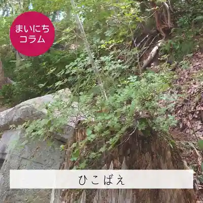 壽徳寺 じゅとくじ(福島県)