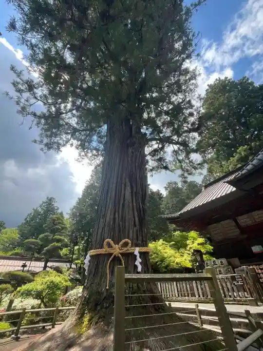 北口本宮冨士浅間神社の{uncategorized: "未分類", other: "その他", undefined: "問題あり", building: "その他建物", grave: "お墓", sacred_gate: "鳥居", guardian: "狛犬", statue: "像", buddha: "仏像", history: "歴史", nature: "自然", garden: "庭園", animal: "動物", pagoda: "塔", temizu: "手水舎", mountain_gate: "山門・神門", sanctuary: "本殿・本堂", subordinate: "末社・摂社", art: "芸術", scenery: "景色", jizo: "地蔵", ema: "絵馬", goshuin: "御朱印", omikuji: "おみくじ", items: "授与品その他", amulet: "お守り", goshuincho: "御朱印帳", eats: "食事", festival: "お祭り", votive_dance: "神楽", shichigosan: "七五三参", wedding: "結婚式", experience: "体験その他", initially: "初詣", around: "周辺", anti_infection: "感染症対策"}