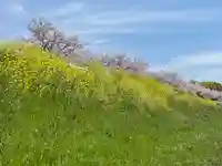 西瓜破天神社(大阪府)