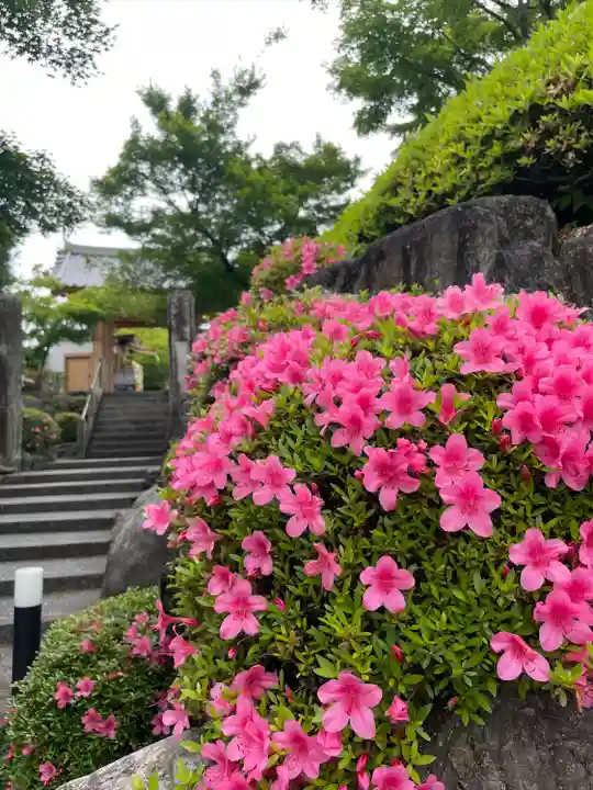 宝徳寺(群馬県)