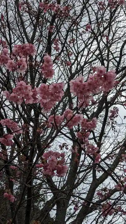熊野若王子神社(京都府)