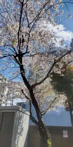 白幡八幡神社(東京都)