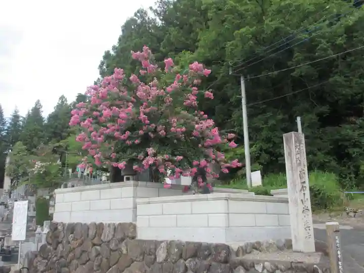 【公式】龍門院常楽寺(秩父札所十一番)の自然