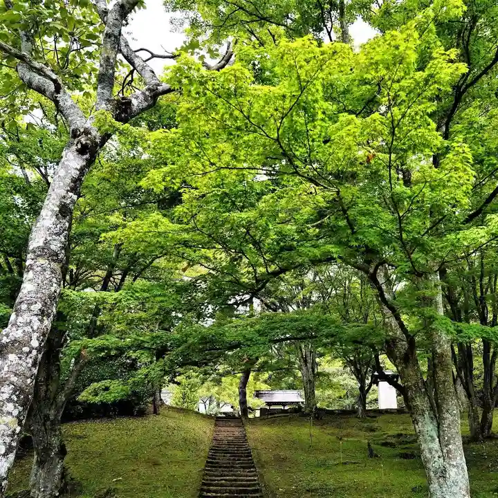 土津神社|こどもと出世の神さまの自然