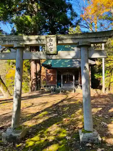 白山神社の鳥居