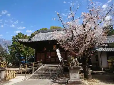 大平八幡宮の本殿・本堂