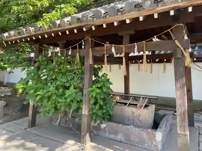 射楯兵主神社(兵庫県)