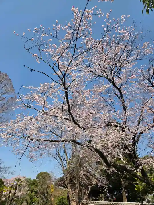 中院の{uncategorized: "未分類", other: "その他", undefined: "問題あり", building: "その他建物", grave: "お墓", sacred_gate: "鳥居", guardian: "狛犬", statue: "像", buddha: "仏像", history: "歴史", nature: "自然", garden: "庭園", animal: "動物", pagoda: "塔", temizu: "手水舎", mountain_gate: "山門・神門", sanctuary: "本殿・本堂", subordinate: "末社・摂社", art: "芸術", scenery: "景色", jizo: "地蔵", ema: "絵馬", goshuin: "御朱印", omikuji: "おみくじ", items: "授与品その他", amulet: "お守り", goshuincho: "御朱印帳", eats: "食事", festival: "お祭り", votive_dance: "神楽", shichigosan: "七五三参", wedding: "結婚式", experience: "体験その他", initially: "初詣", around: "周辺", anti_infection: "感染症対策"}