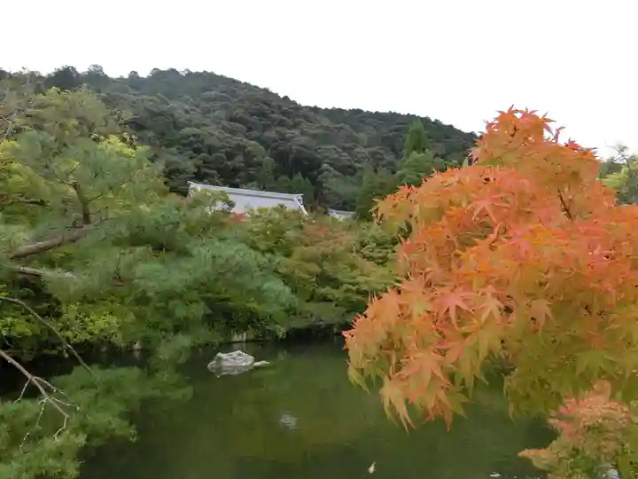 禅林寺(永観堂)の庭園