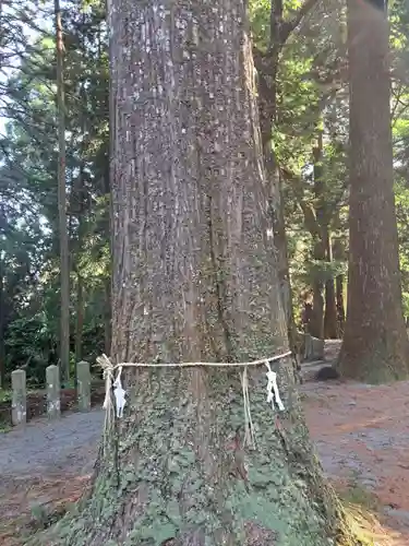 国造神社(熊本県)