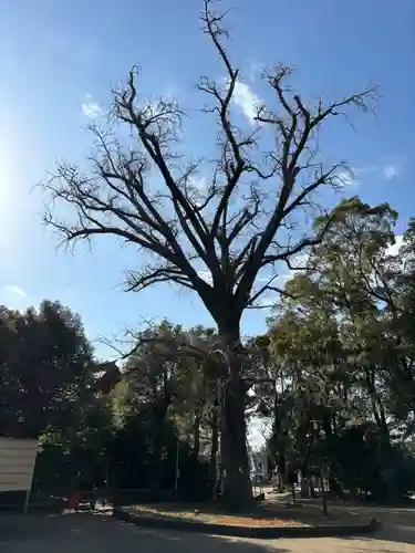 飯香岡八幡宮(千葉県)