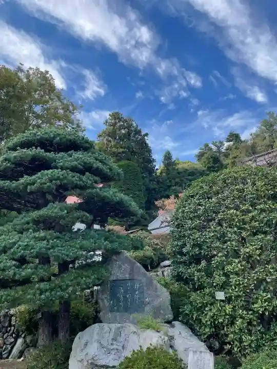 玉泉寺(埼玉県)