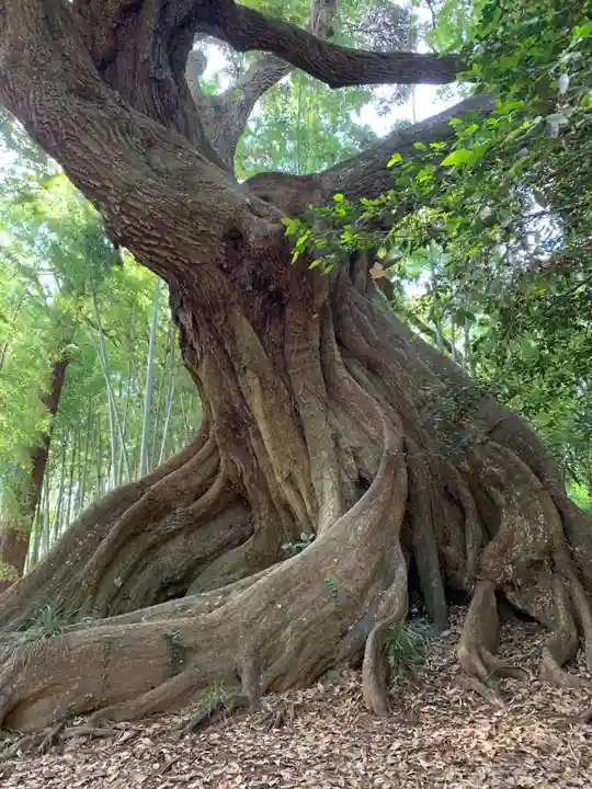 天神社の自然
