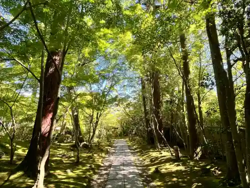 円通院(宮城県)