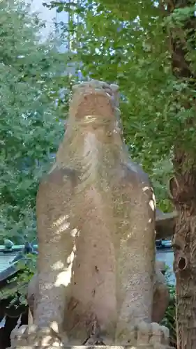 稲荷鬼王神社の狛犬