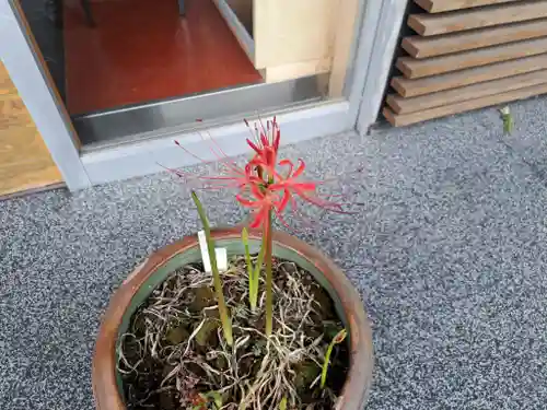 極楽山　浄土寺(北海道)