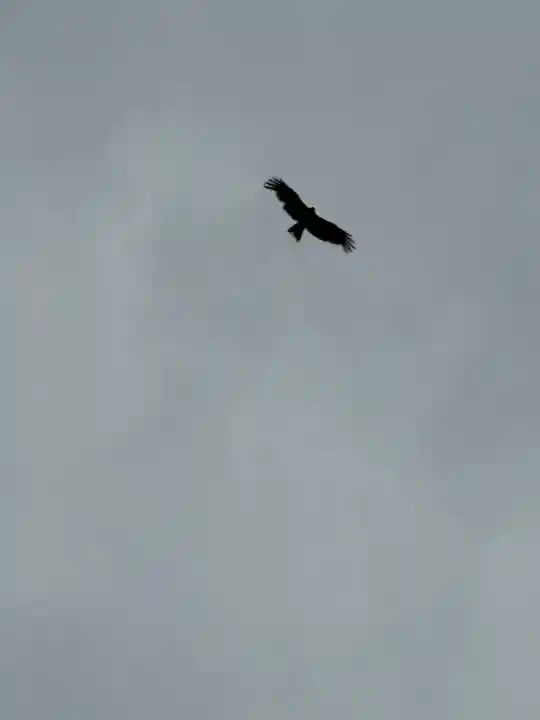 吉祥草寺(奈良県)