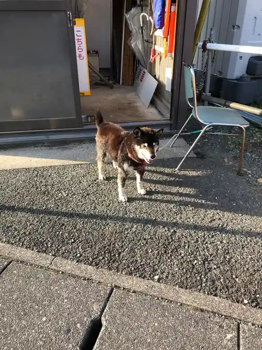 尊永寺(静岡県)