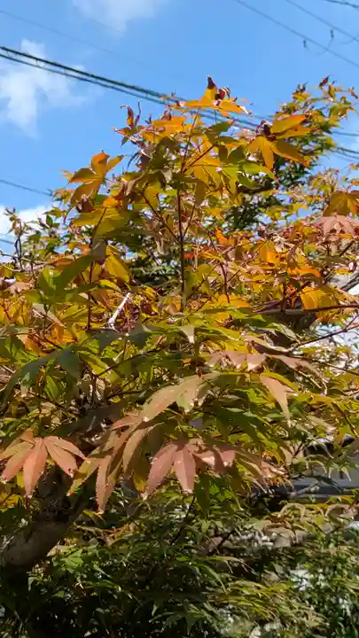 養寿庵(京都府)