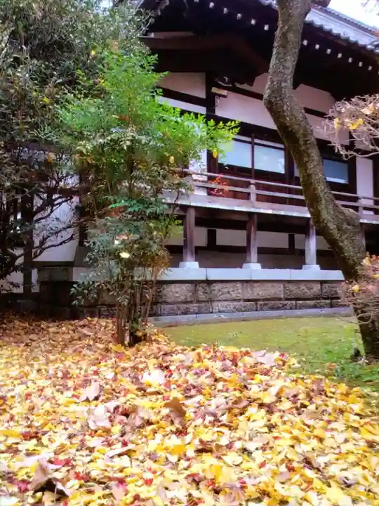 高円寺(東京都)