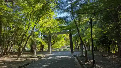 大原野神社の鳥居