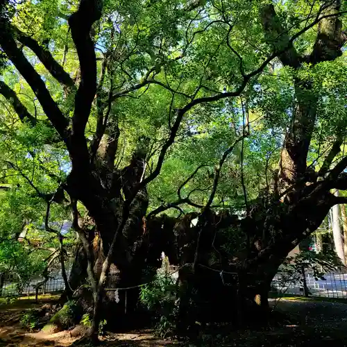 浜松八幡宮(静岡県)