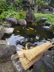 圓明院の庭園