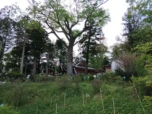 阿久津「田村神社」（郡山市阿久津町）旧社名：伊豆箱根三嶋三社(福島県)